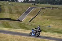 Lower Group Blue Bikes